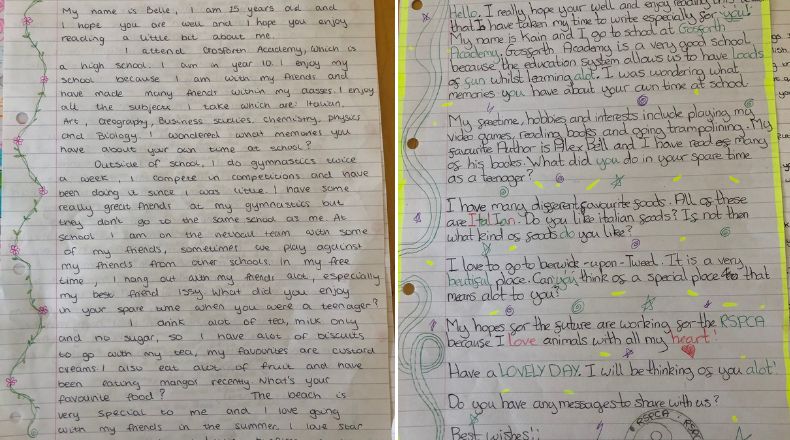 Friendship letter