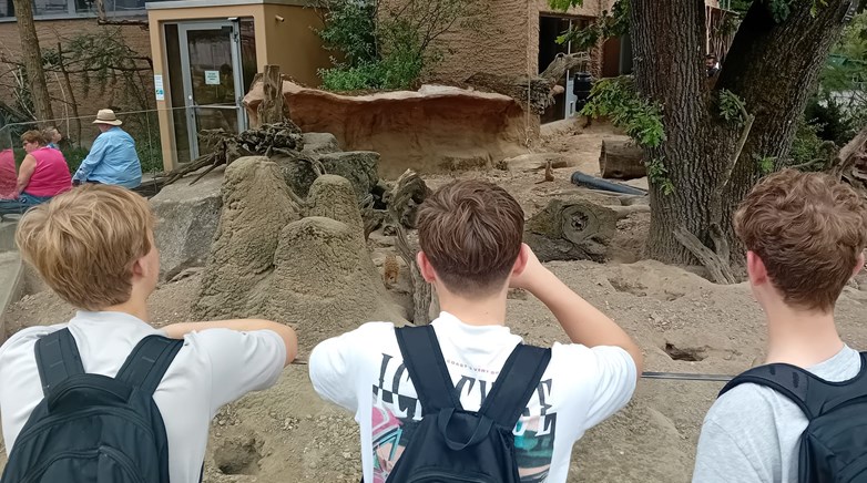 German Exchange Students 