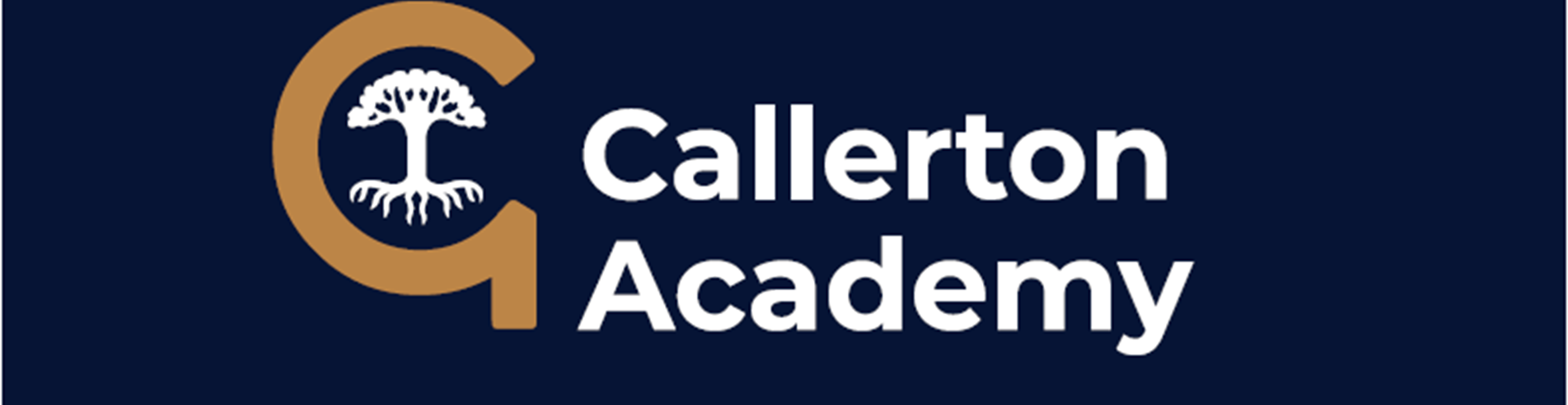 Callerton Academy v3